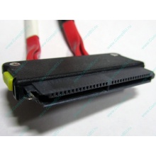 SATA-кабель для корзины HDD HP 451782-001 459190-001 для HP ML310 G5 (Лобня)