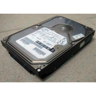 Жесткий диск 18.2Gb IBM Ultrastar DDYS-T18350 Ultra3 SCSI (Лобня)