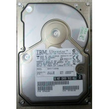 Жесткий диск 18.2Gb IBM Ultrastar DDYS-T18350 Ultra3 SCSI (Лобня)