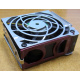 HP 224977 (224978-001) for Proliant ML370 G2/G3/G4 (Лобня).