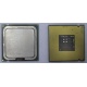Процессор Intel Celeron D 336 (2.8GHz /256kb /533MHz) SL98W s.775 (Лобня)