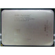 AMD Opteron 6128 OS6128WKT8EGO (Лобня)