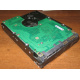Жесткий диск 300Gb 15k Seagate Cheetach ST3300656SS 15K.6 Dell 9CH066-050 6G SAS (Лобня)